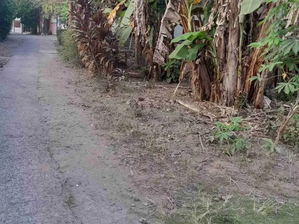 Tanah Di Ganjuran Bantul Strategis Siap Bangun