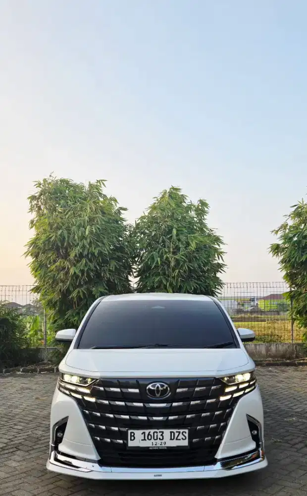 Alphard hev modelista hybrid 2024