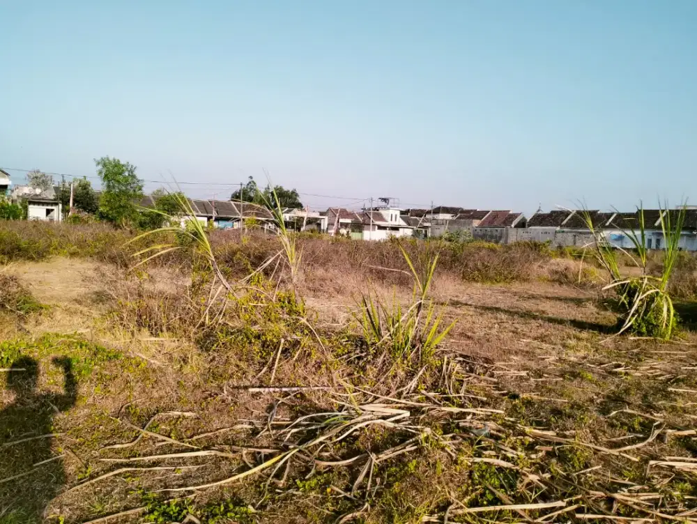 Tanah 0.5 Ha for Sale ! Sukowiyono, Tulungagung