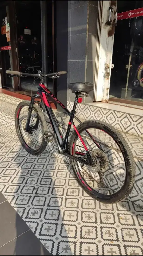 Sepeda Polygon Syncline C3 size M