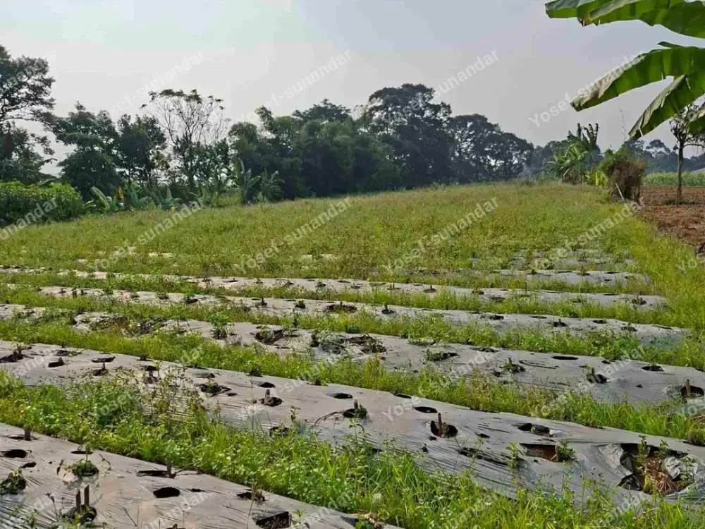 Di jual tanah Darat sangat cocok untuk villa