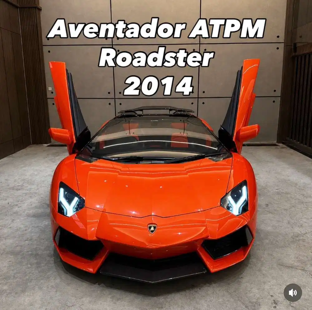 Lamborghini Aventador  Roadster ATPM 2014
