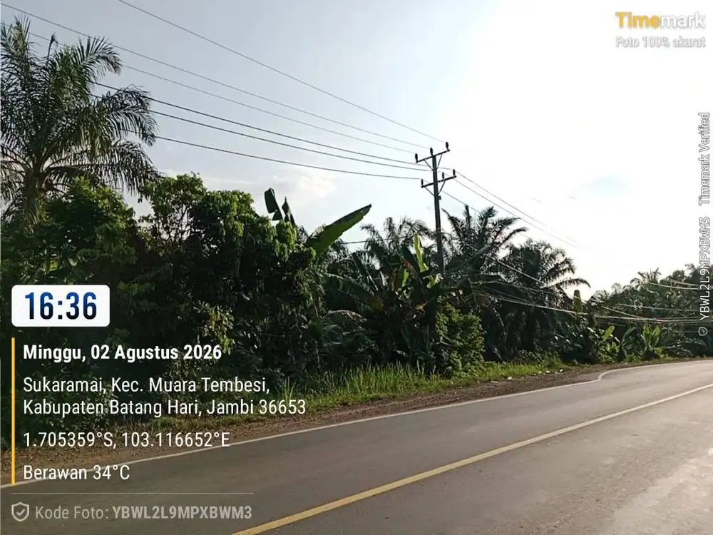 DIJUAL TANAH SHM STRATEGIS - PINGGIR JALAN MUARO BUNGO TEMBESI