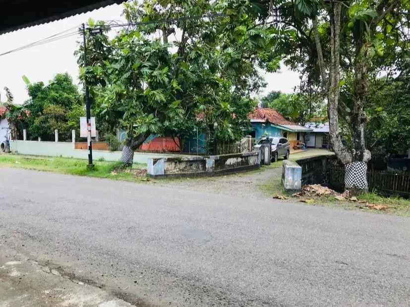 Tanah pinggir Jl.Puring Gombong Kebumen Jateng