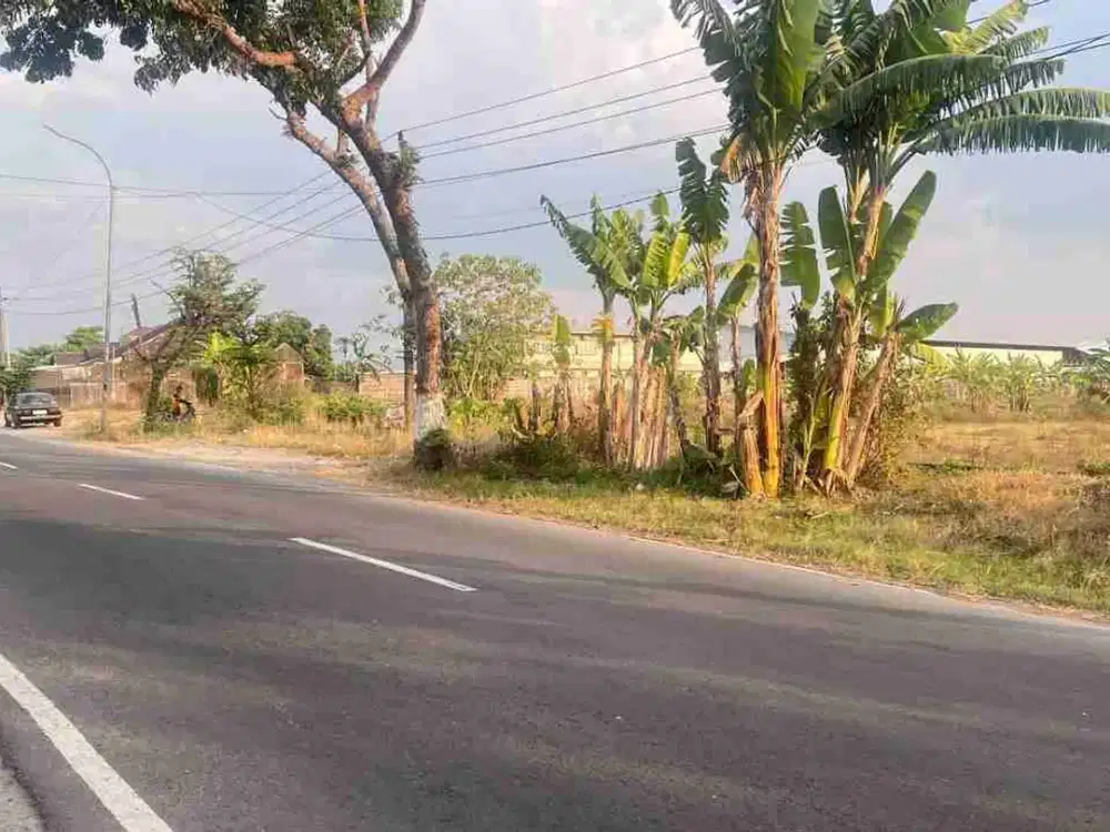 tanah lahan industri cocok untuk pabrik sudah perijinan lengkap tinggal bangun di ngrampal sragen Jawa Tengah