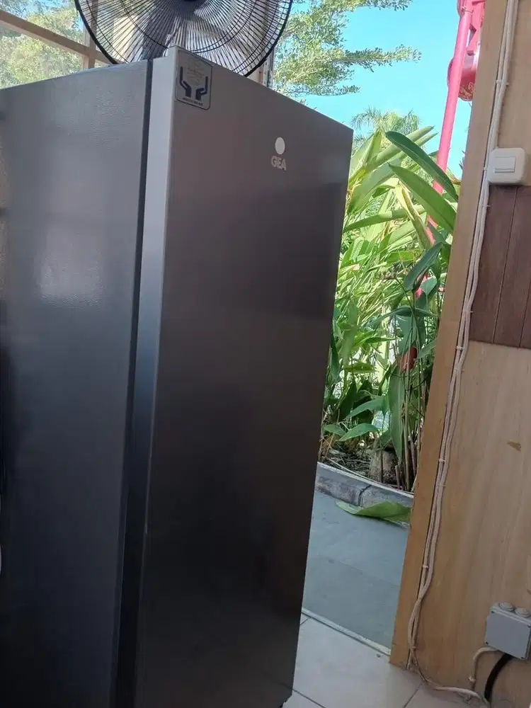 GEA Standing Freezer