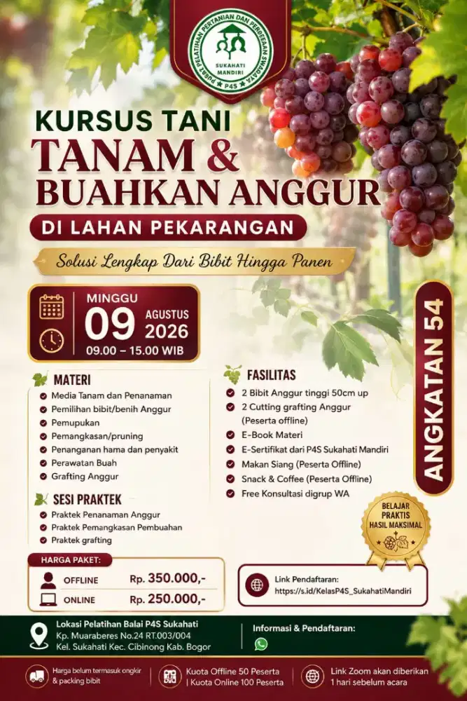 Pelatihan Budidaya Anggur Impor