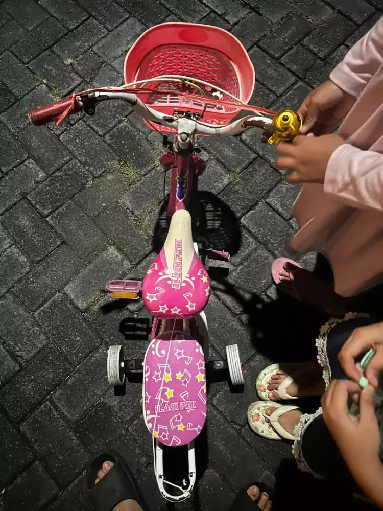 Sepeda anak perempuan warnah pink