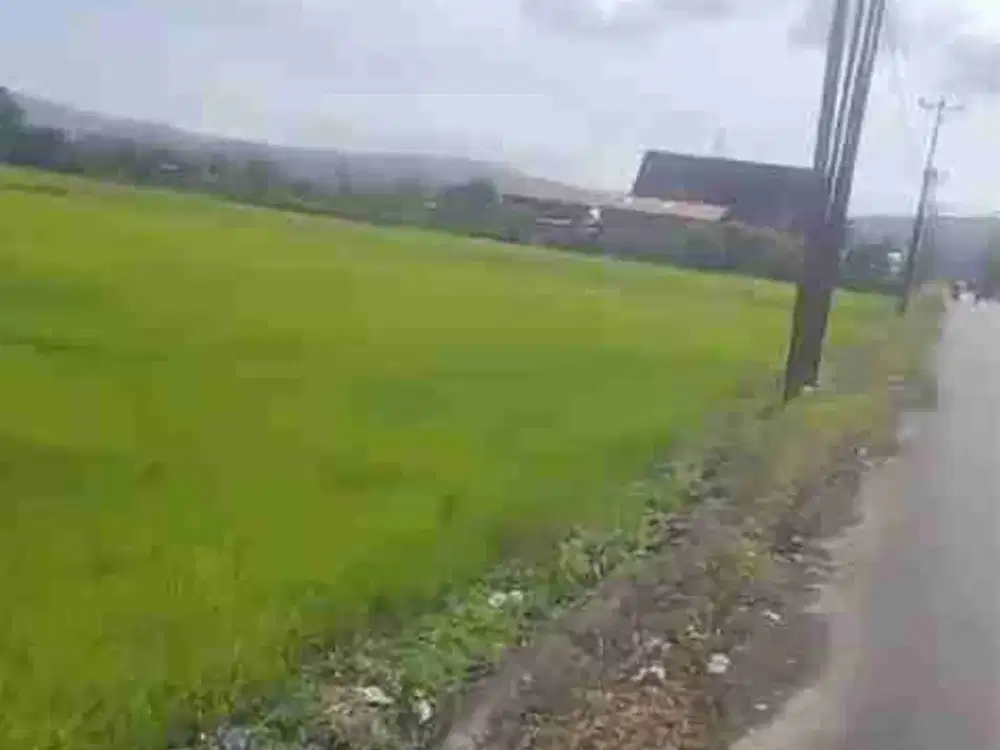 DIJUAL CEPAT TANAH SAWAH STRATEGIS DAERAH TONDANO, HARGA SANGAT MURAH