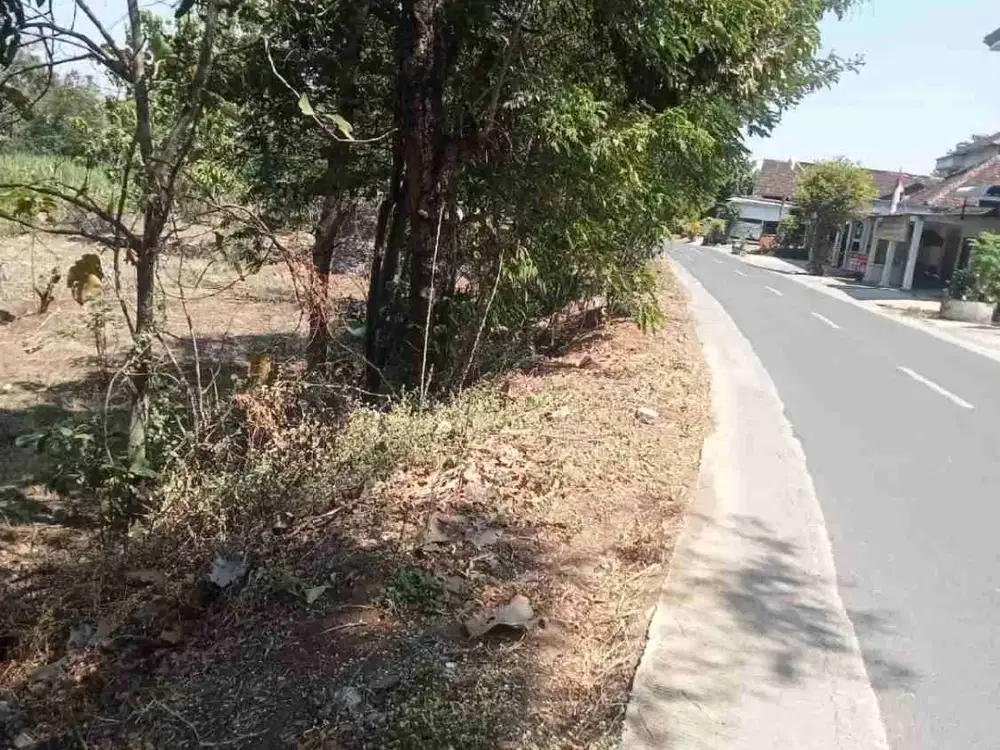 Tanah Tepi Jalan Utama Murah