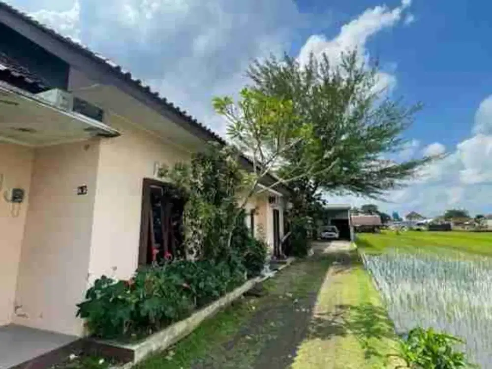 rumah kontrakan 5 kamar full furnish dekat kampus UAD dan RSUD wirosaban