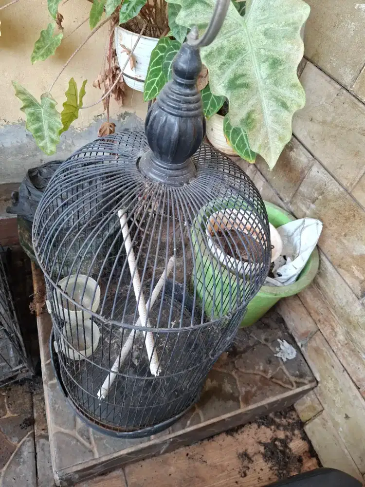 Sangkar Burung.