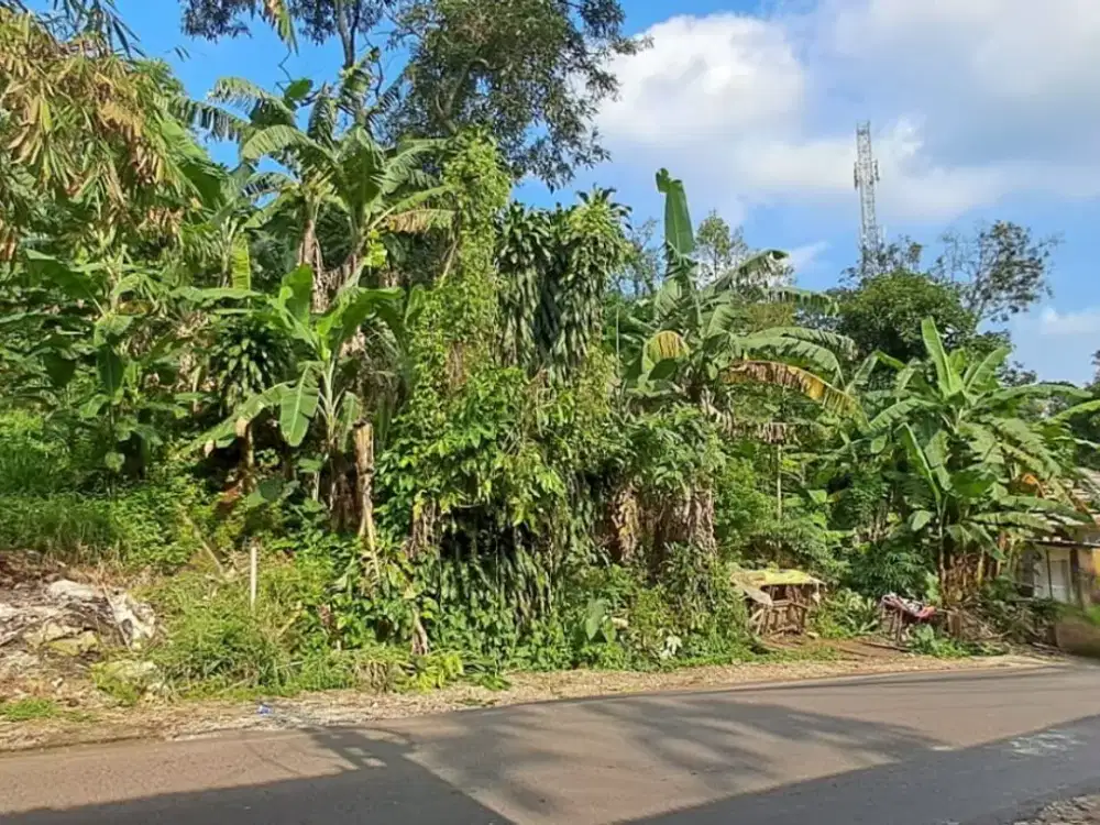 Tanah Luas Strategis di Ciumbuleuit Bandung
