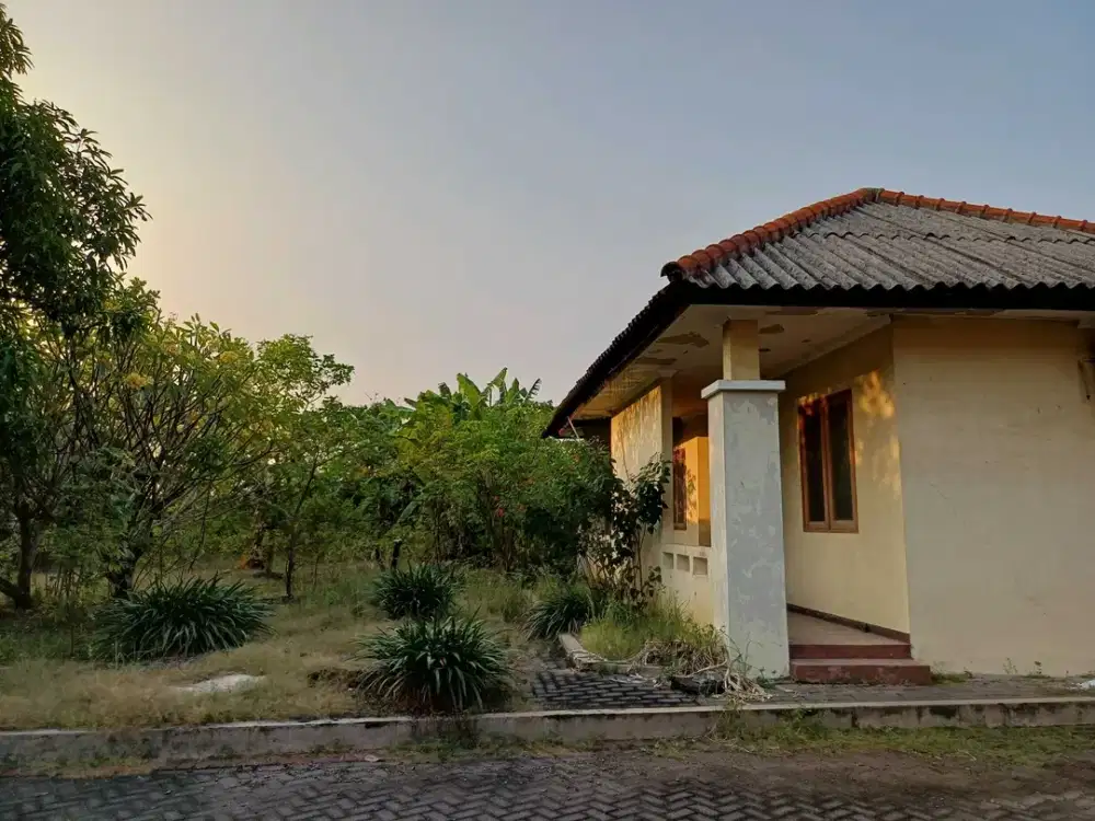 Raya Sawo Surabaya