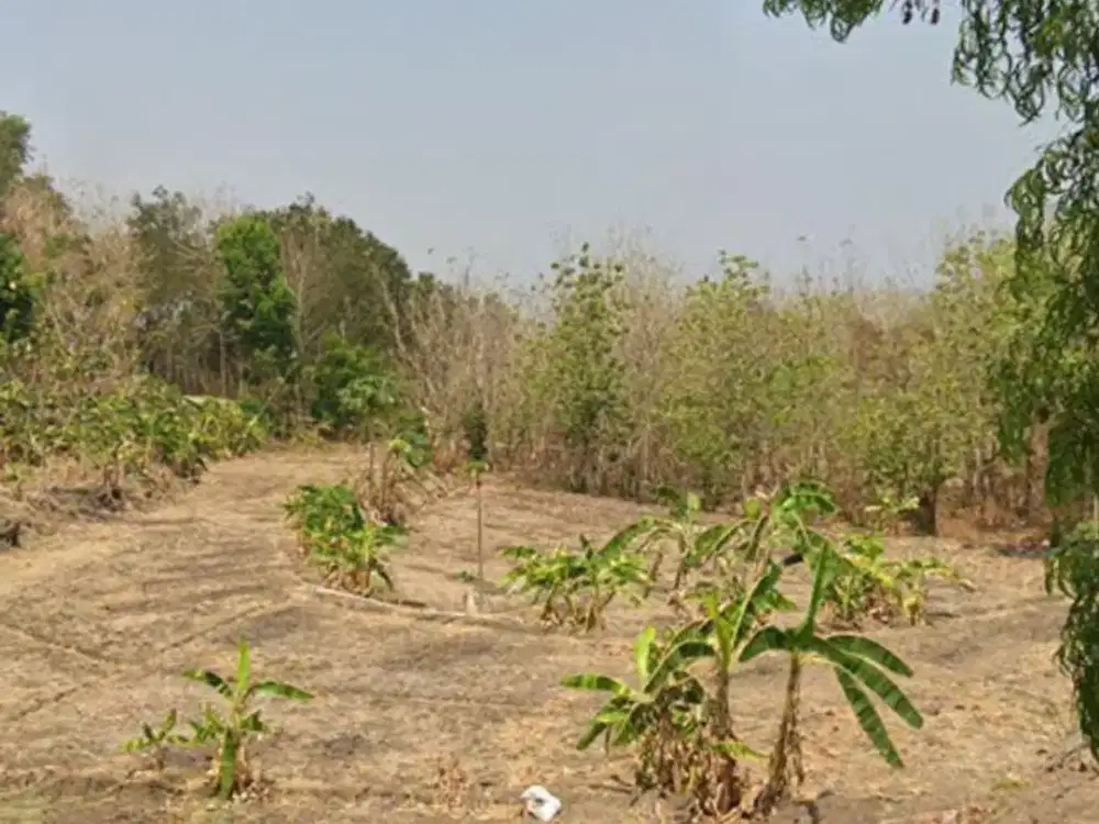 Dijual Tanah Pekarangan Zona Kuning Lokasi Strategis Gondangrejo,Karanganyar 7500m2