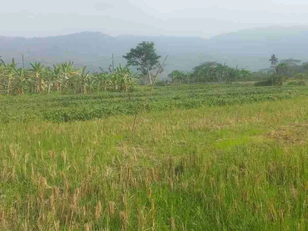 Tanah murah view Mewah di Nanggulan, kulon Progo