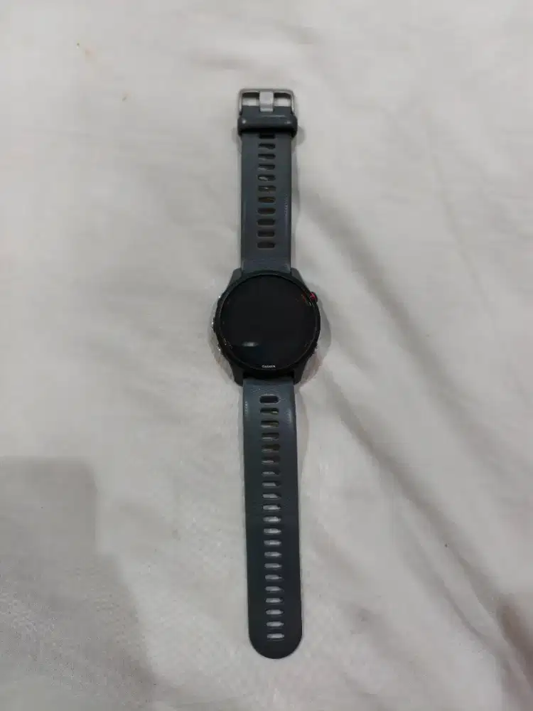 Garmin Forerunner 255 resmi