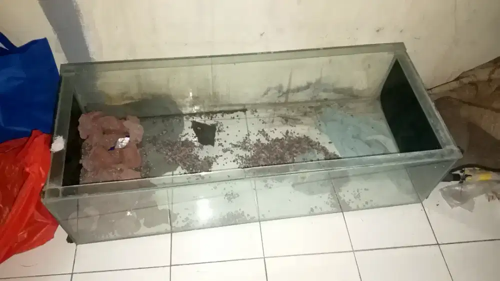 Jual 4 aquarium ikan bekas