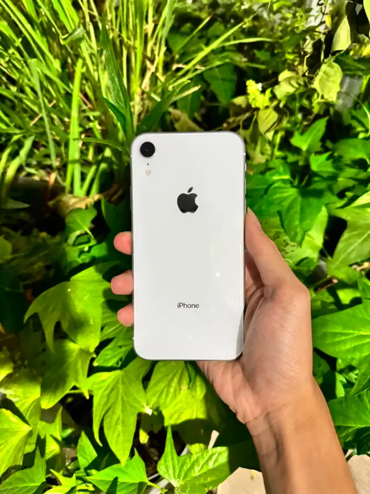 iPhone Xr 64GB Beacukai