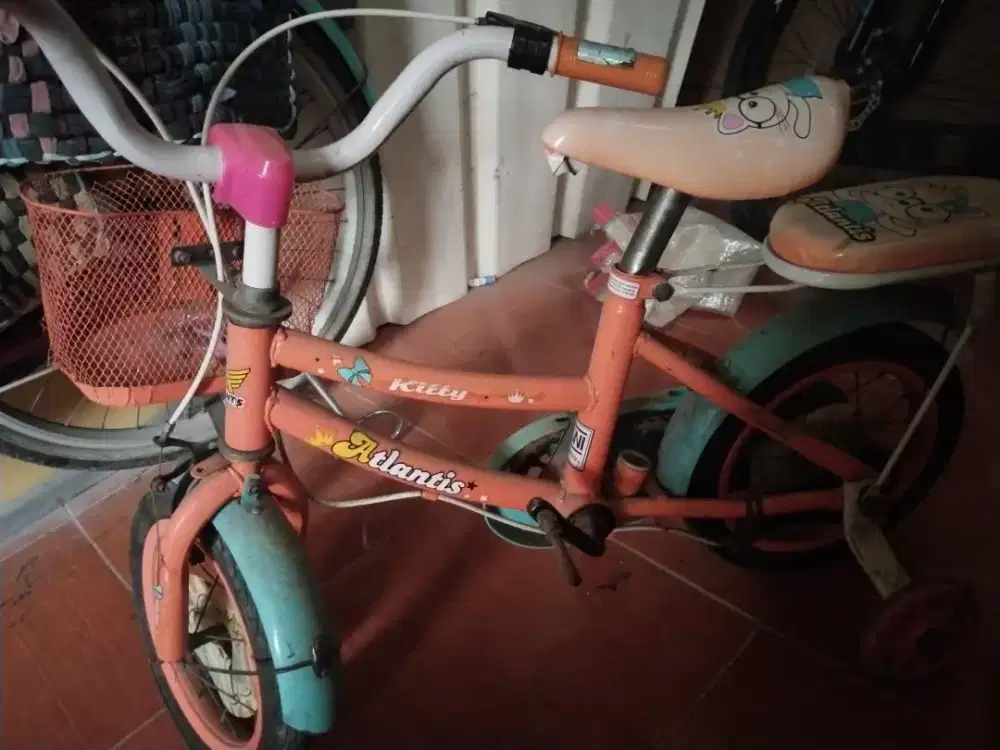 Sepeda anak pemakaian sendiri