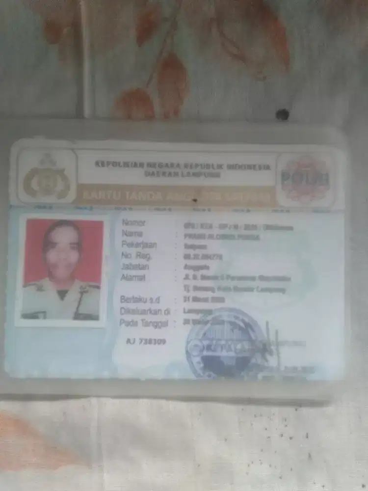 Sedang mencari pekerjaan