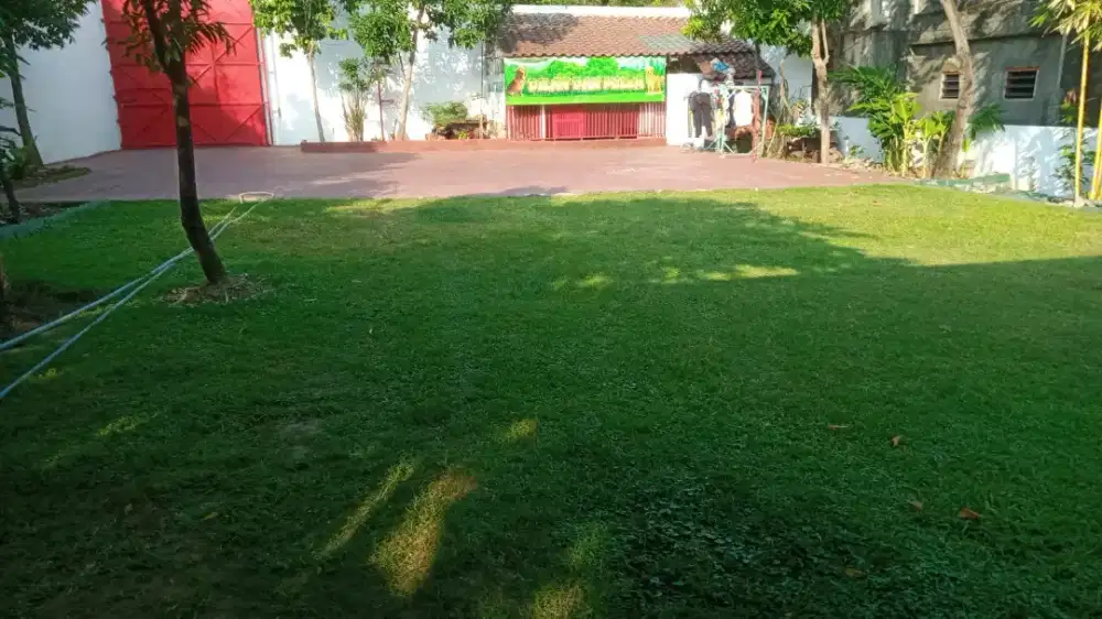Butuh Tenaga Serabutan bersih2 Rumah Besar, Rawat Kebun dan Hewan