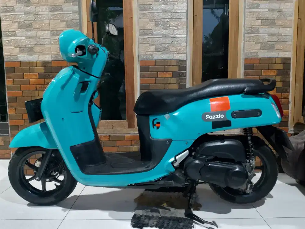 Fazzio Lux 2022
