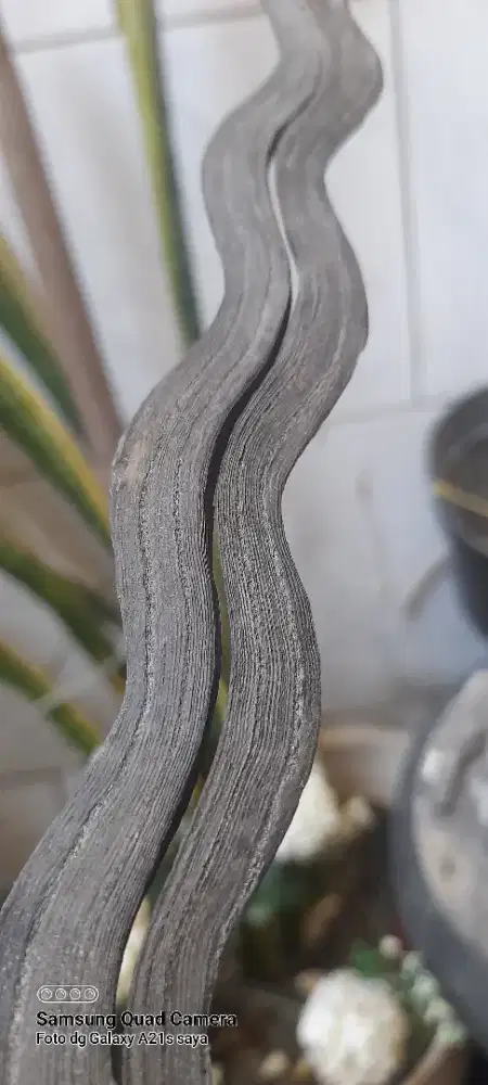 Keris pamengkang jagad