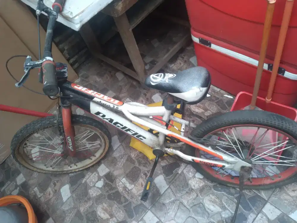Sepeda pasific anak size 20inci