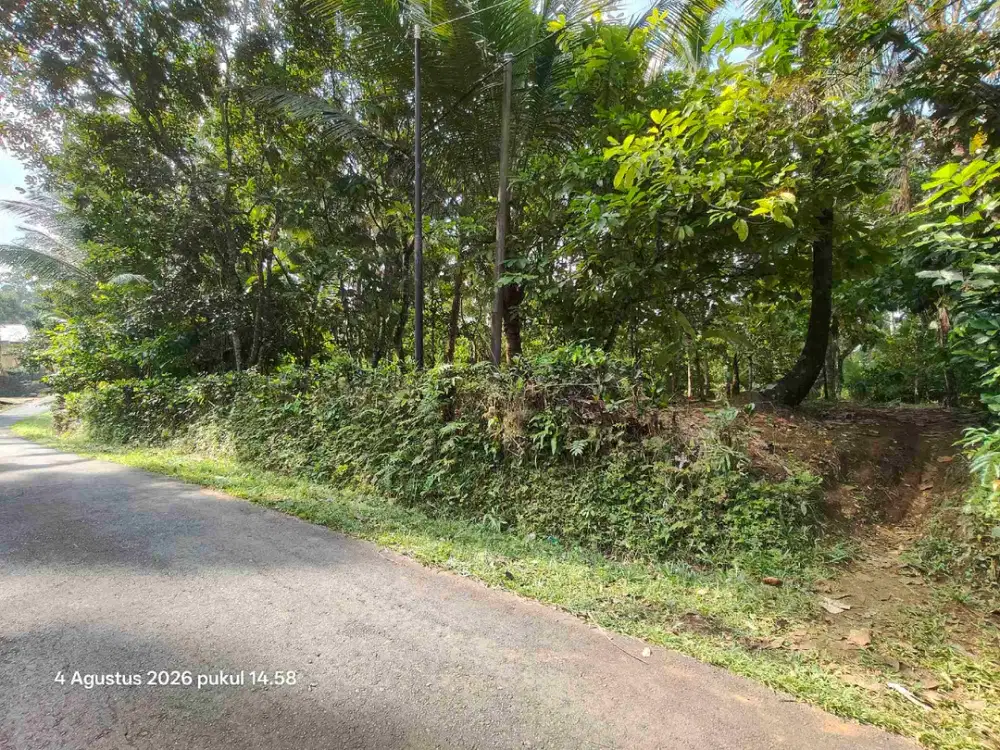 Tanah Zona Kuning dan Perkebunan di Selemadeg Tabanan Bali