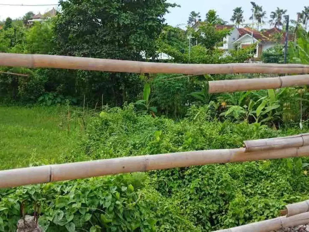 DIJUAL TANAH STRATEGIS – TEGAL CUPEK, DEKAT UMALAS
