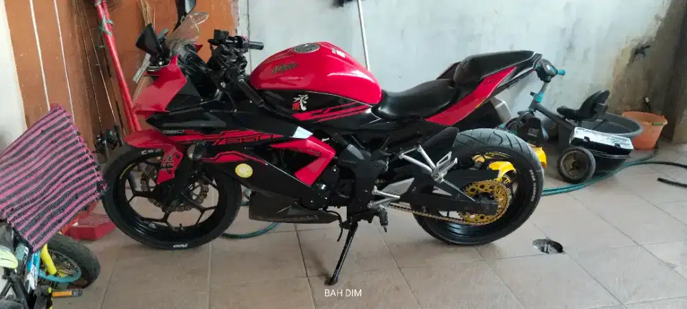Kawasaki ninja 250cc 2017
