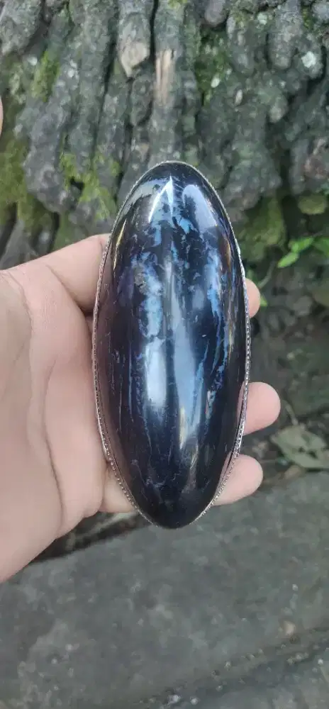 Batu Fossil Laut Kandungan Emas Super Langka Size Jumbo