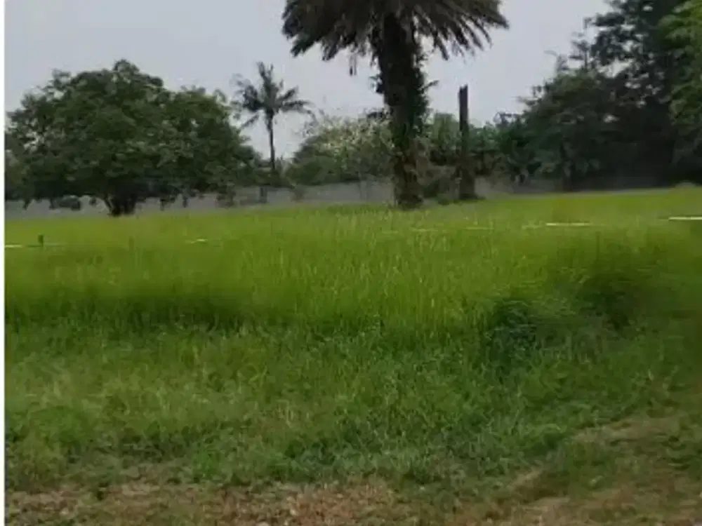 Tanah Super Murah Siap Bangun di Kawasan Industri Jatake Tangerang