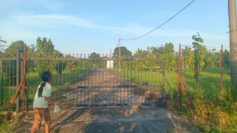 DIJUAL CEPAT LAHAN/KEBUN PRODUKTIF SELUAS 4 HEKTAR (SHM)
