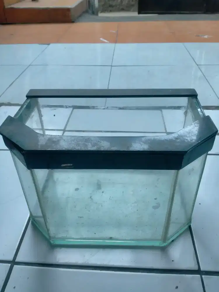 Aquarium minimalis
