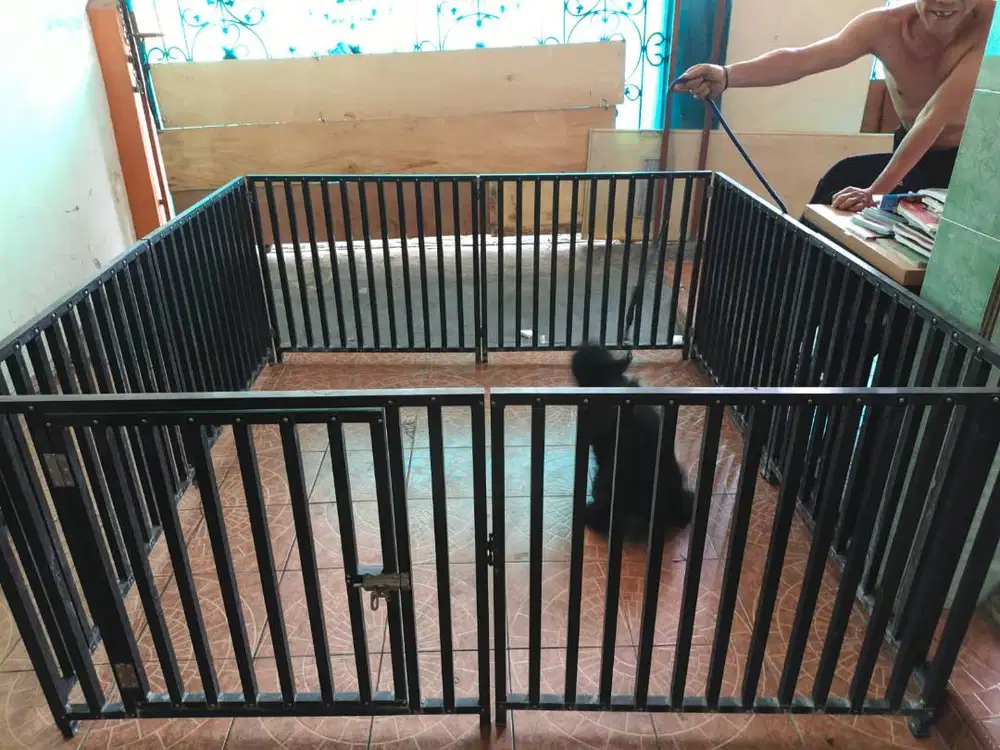 Kandang (sekat) Anjing