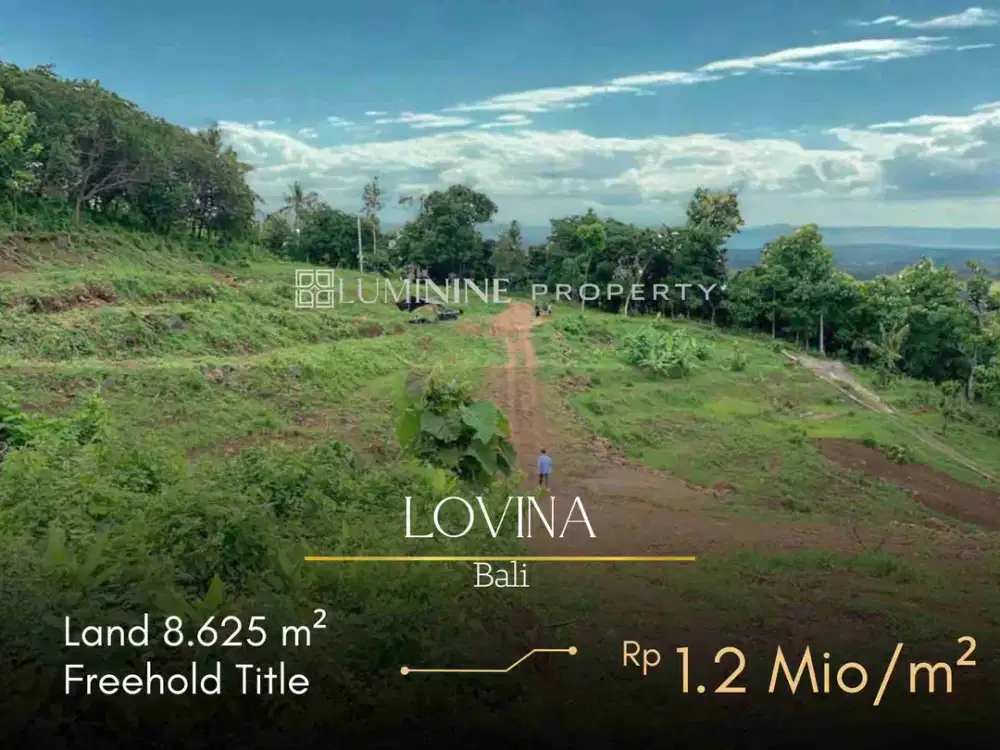 LAND FOR SALE ON HILL TOP WITH OCEAN VIEW IN LOVINA BEACH BALI