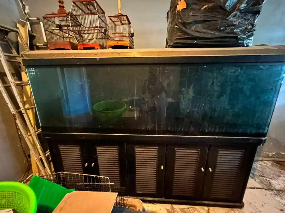 aquarium ikan murmer aja