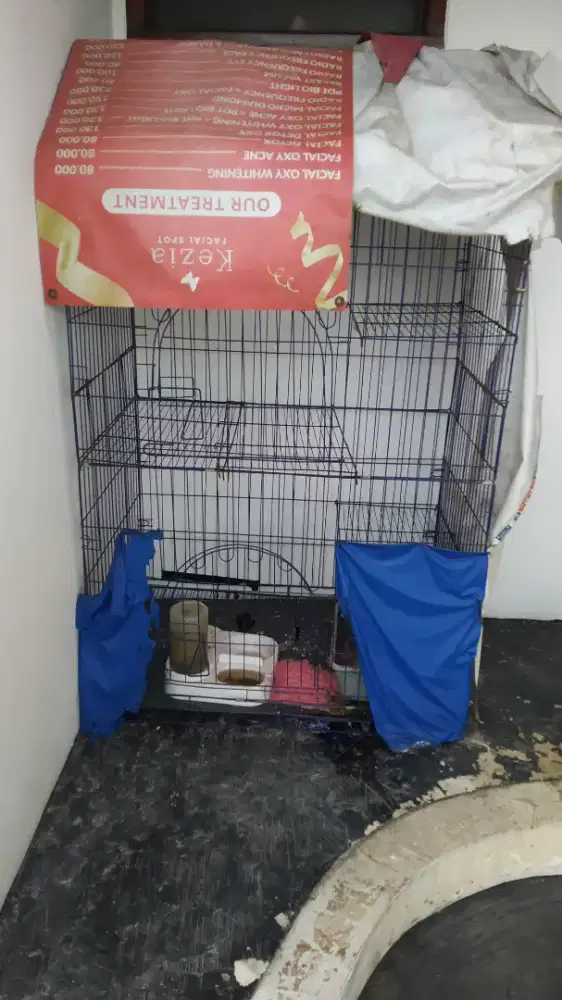 kandang kucing hewan peliharaan