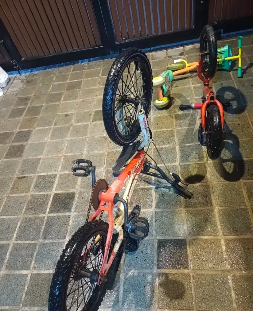 Sepedah anak pacifik
