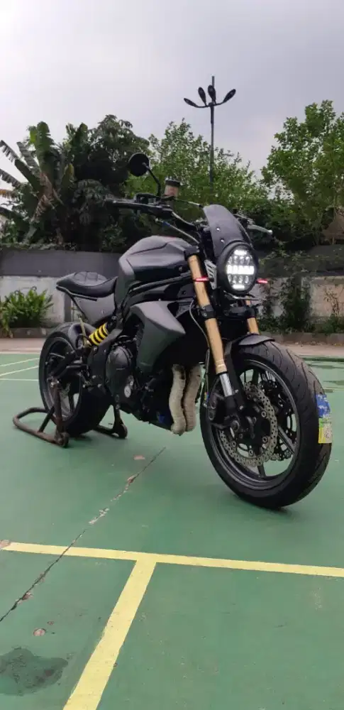 Sale Kawasaki ER6N Costume