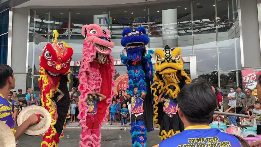 Sewa barongsai profesional ( golden tiger)