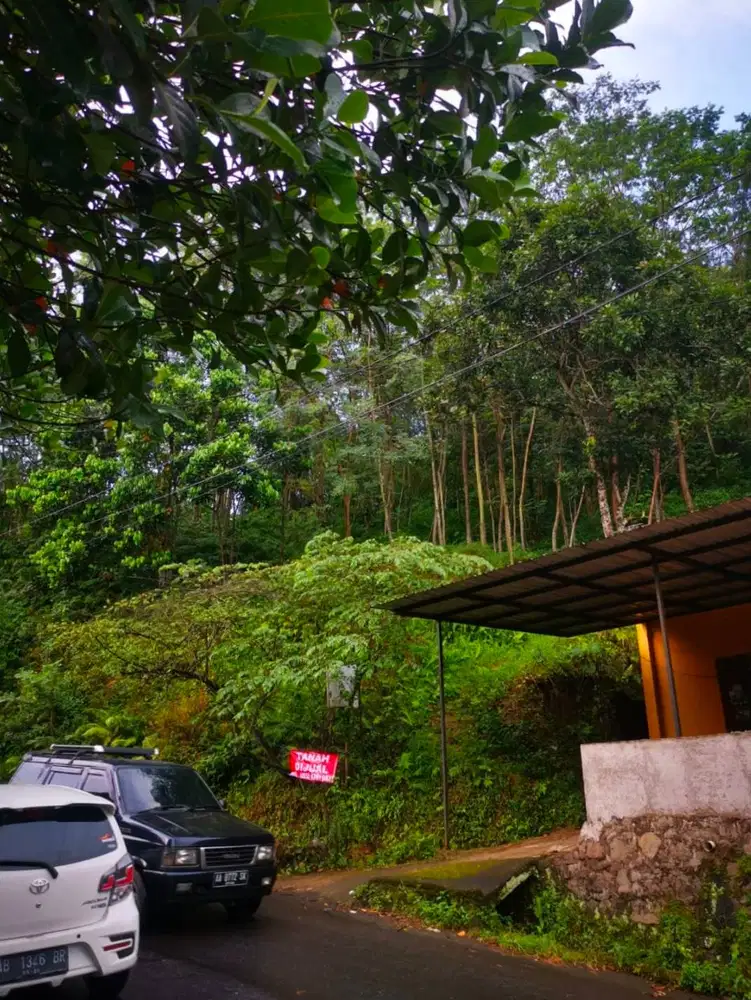 di jual tanah di desa Kalirejo Semarang