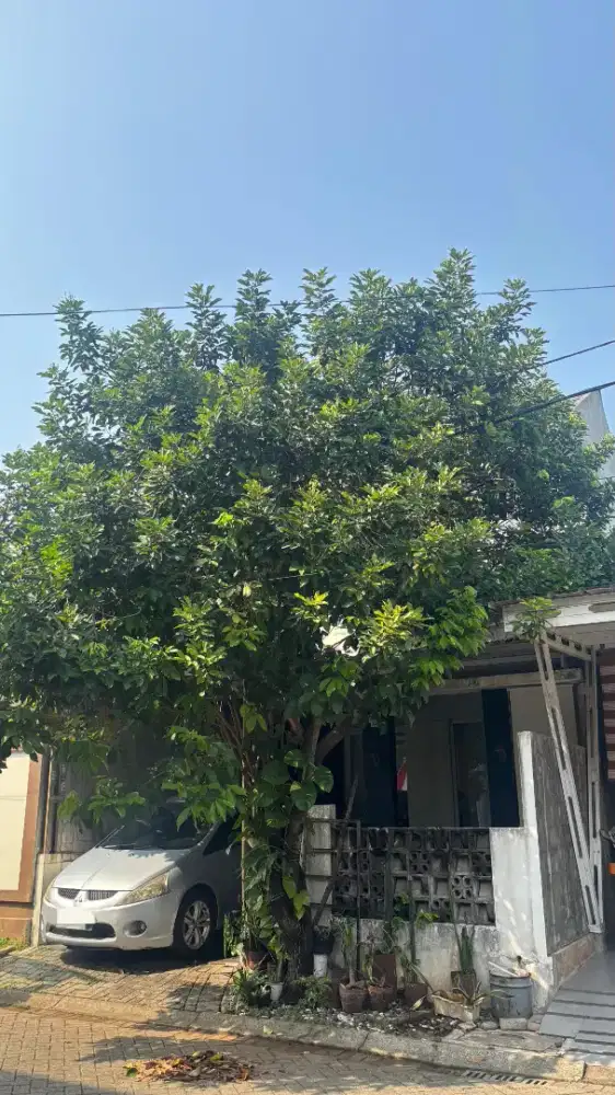 Rumah 2 Lantai Cibubur Country