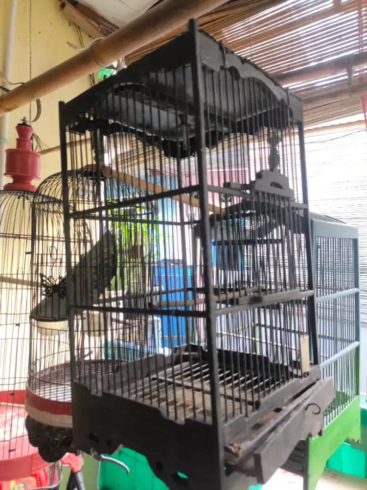 Jual borongan kandang burung