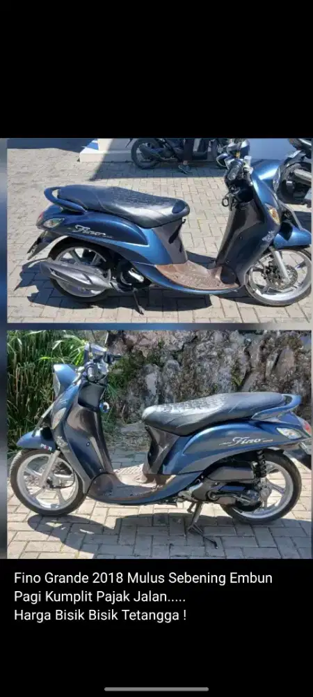 Fino grande 2018