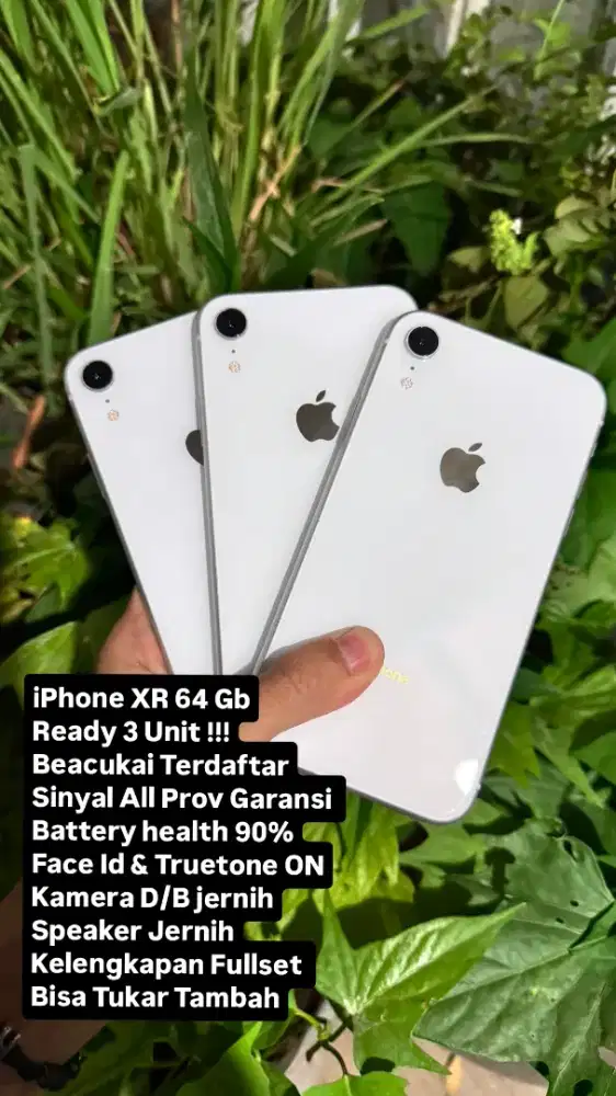 iPhone Xr 64GB Resmi