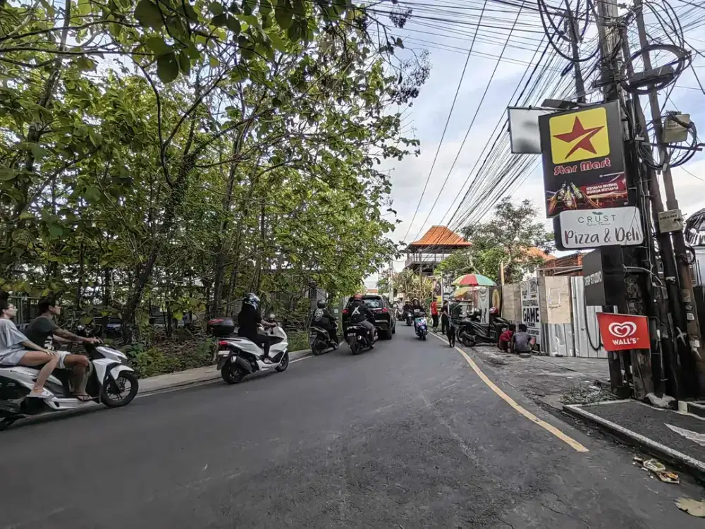 Tanah Premium Jl Subak Canggu