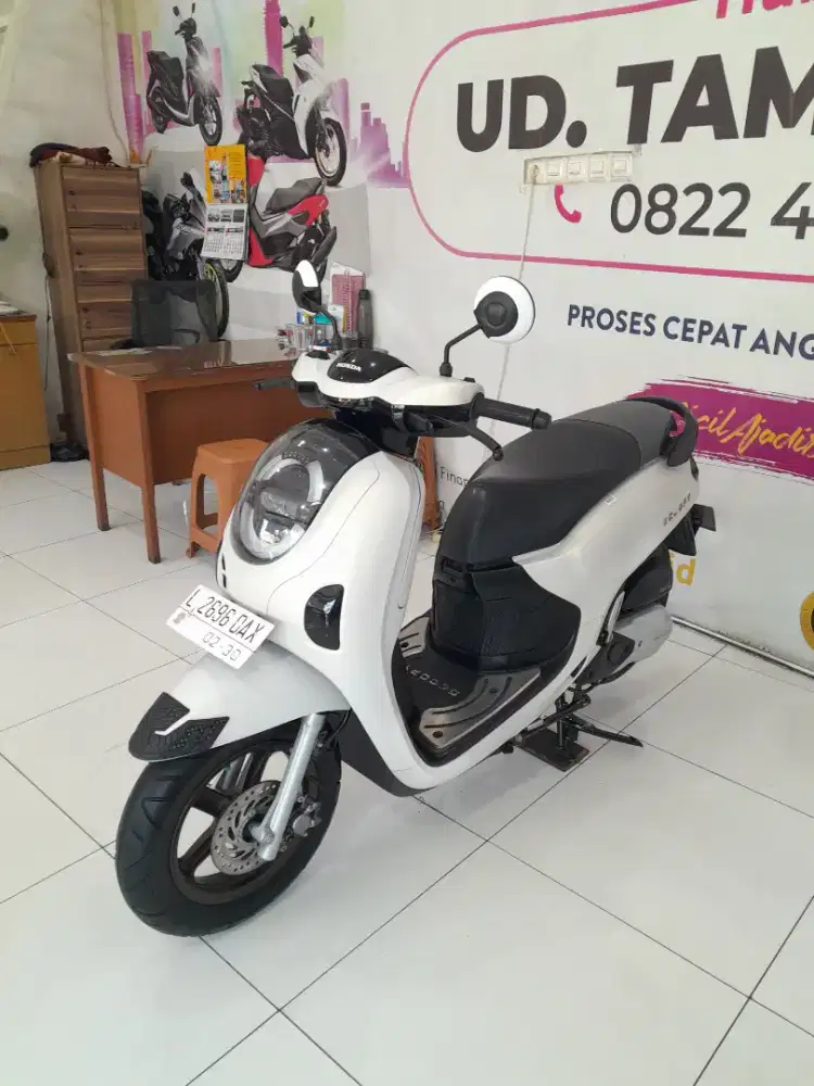 LOSS HONDA SCOOPY PRESTIGE 2025